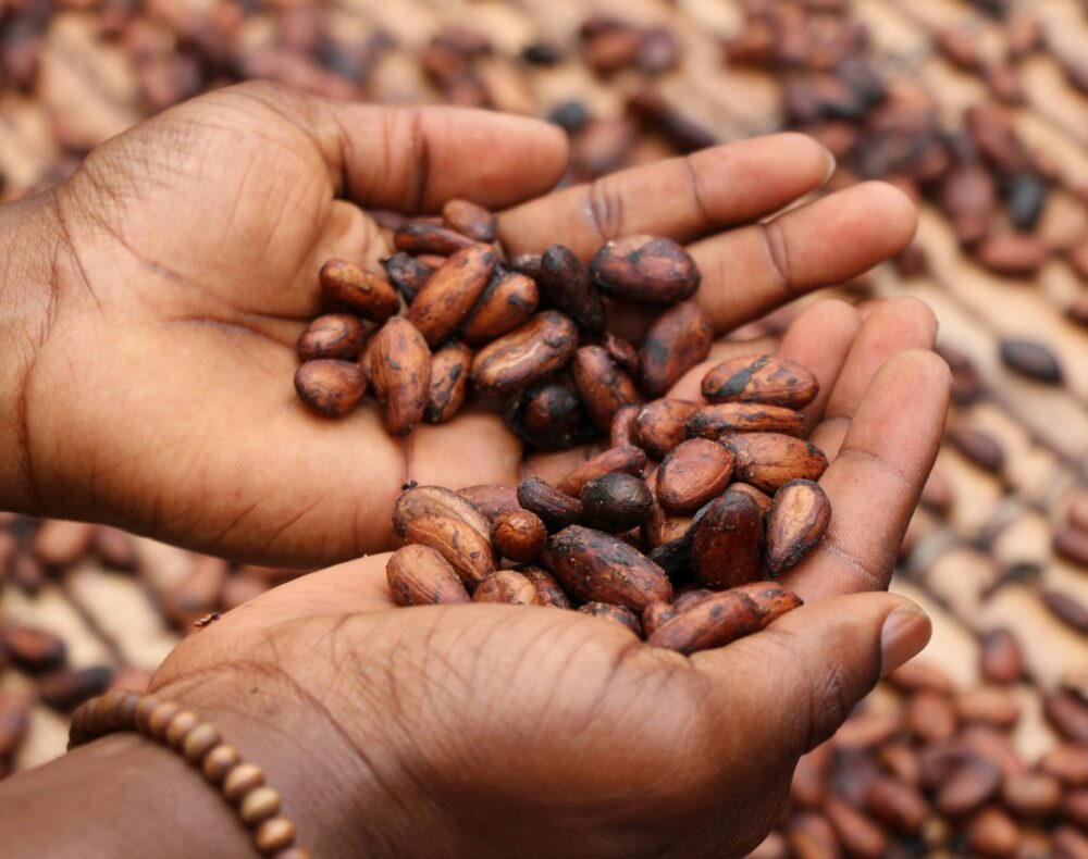 etty-fidele-oJpkjWcScyg-unsplash