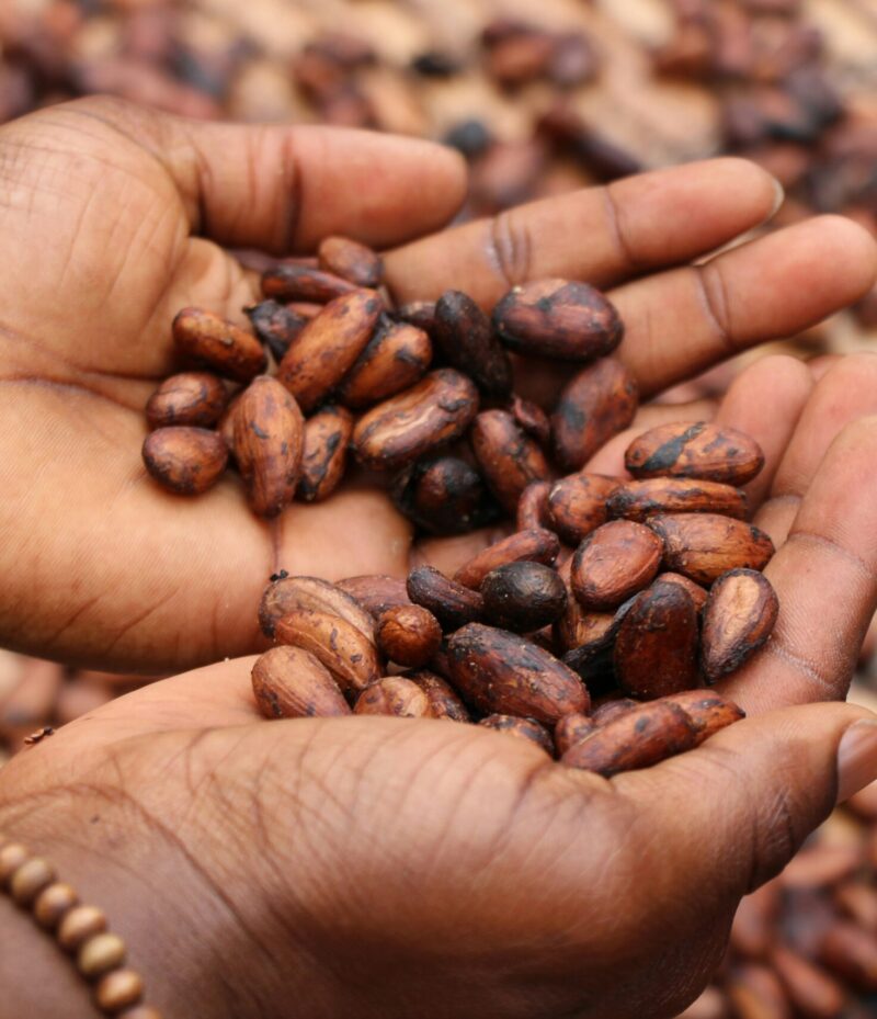 etty-fidele-oJpkjWcScyg-unsplash