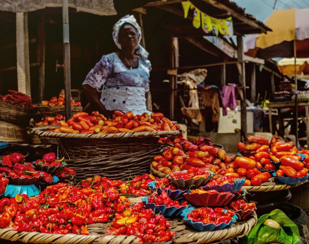 omotayo-tajudeen-ME416b6sp2I-unsplash