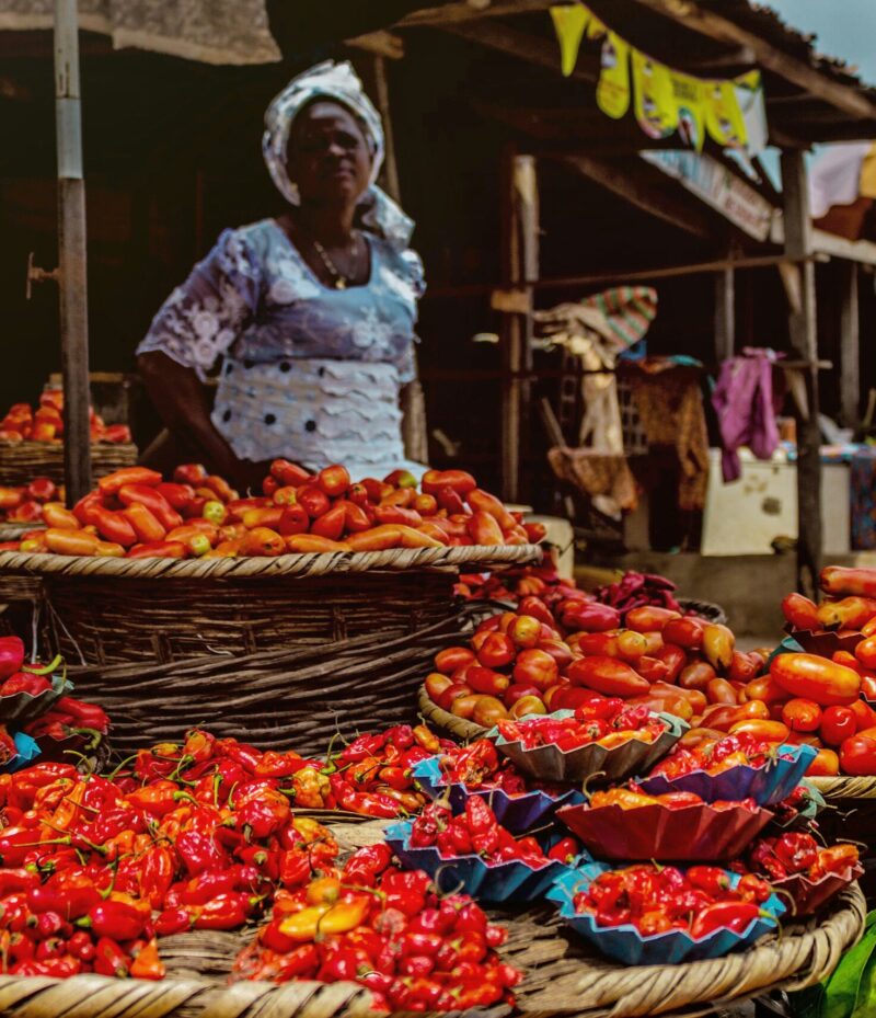 omotayo-tajudeen-ME416b6sp2I-unsplash